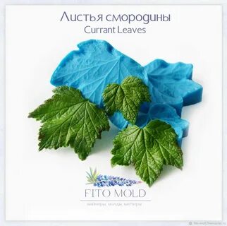 Лист смородины тип листа