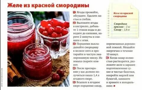 Красная смородина сколько сахара