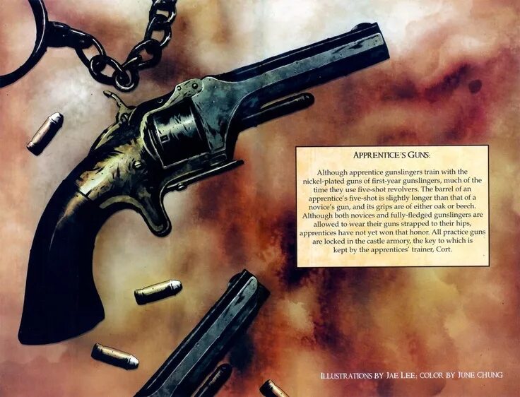 Is that a gun