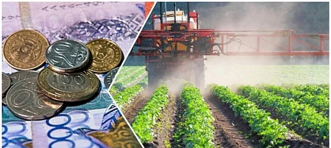Субсидии сельскому хозяйству. Увеличение капиталовложений в сельское хозяйство. Субсидии и господдержка фермерам. Компенсирующие субсидии в сельском хозяйстве