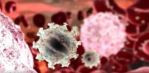 Blood virus