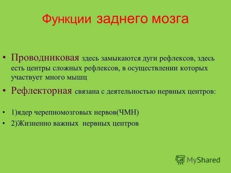 Мозг выполняет проводниковую функцию. Функции заднего мозга кратко. задний мозг отделы и функции. задний мозг строение и функции. задний отдел мозга строение и функции.