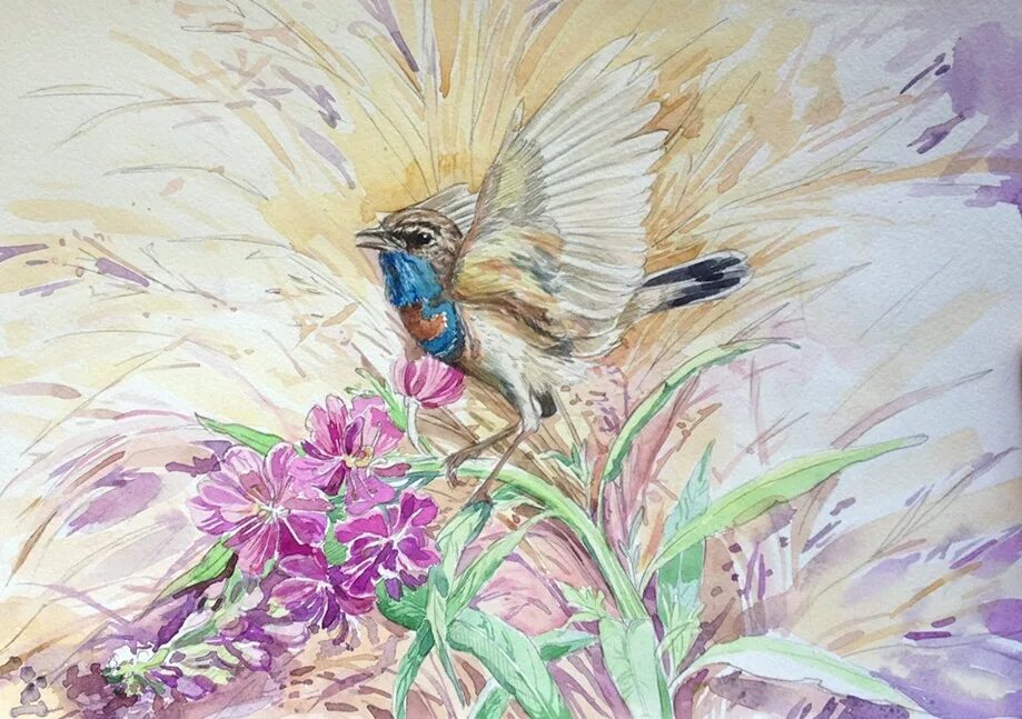 Воробей издалека. Птенец зяблика. Птица с насекомым в клюве. Хохлатый питохуй. Пернатая птица ошибка.