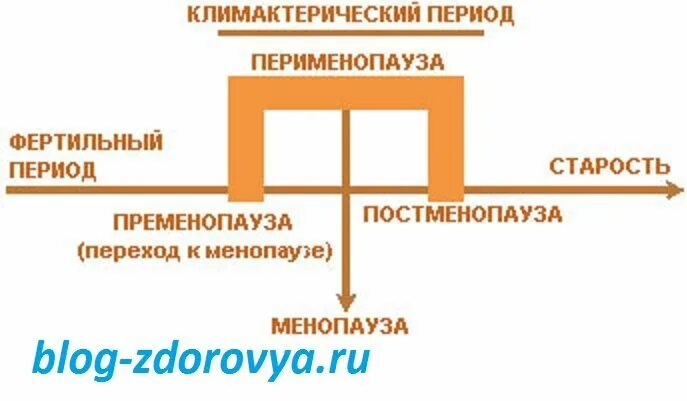 Время пременопаузы. Менопауза и постменопауза это период. Перименопауза и постменопауза что это такое. Период пременопауза перименопауза менопауза постменопауза. Перименопауза это период.