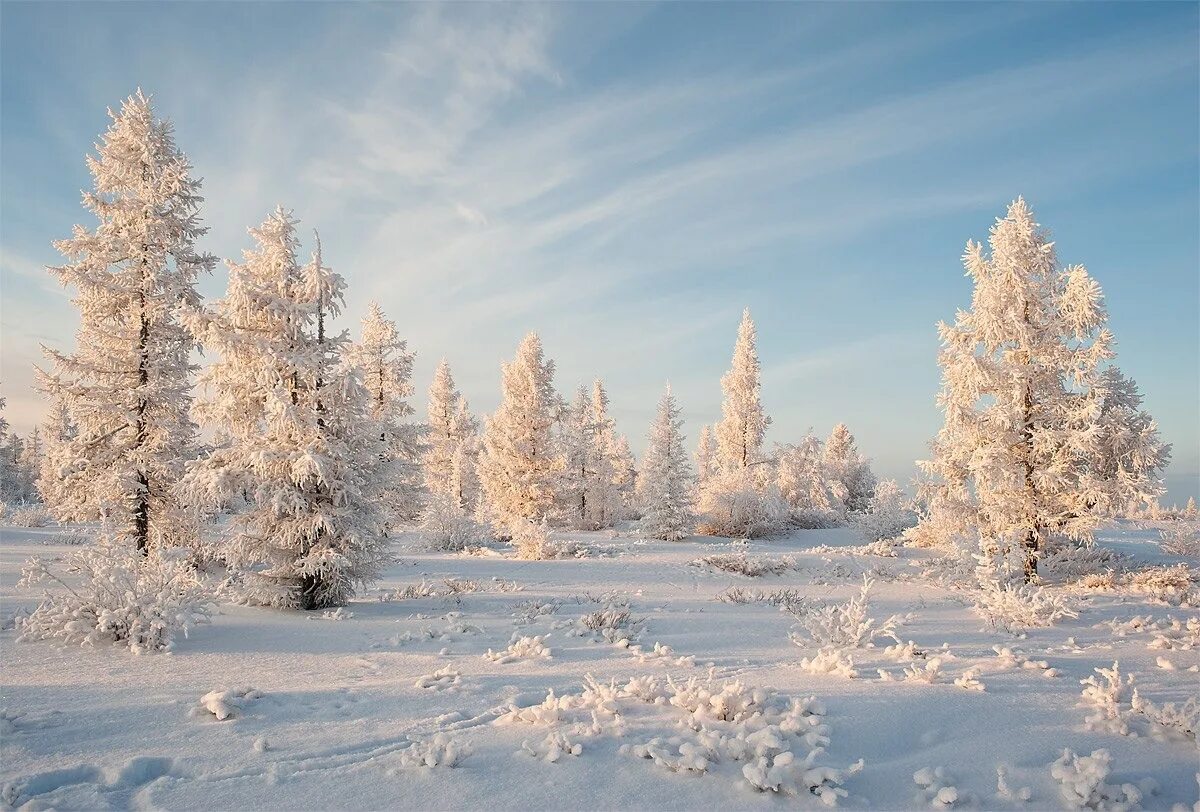 Зимний пейзаж. Декабрь природа. Зимняя природа. Зима декабрь. Какой бывает зимний день