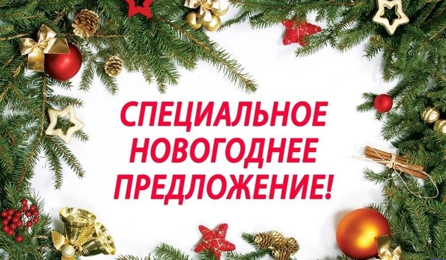 Предложение новогодних праздников. Новогоднее предложение. Новогодняя акция. Выгодное новогоднее предложение. Специальное новогоднее предложение.