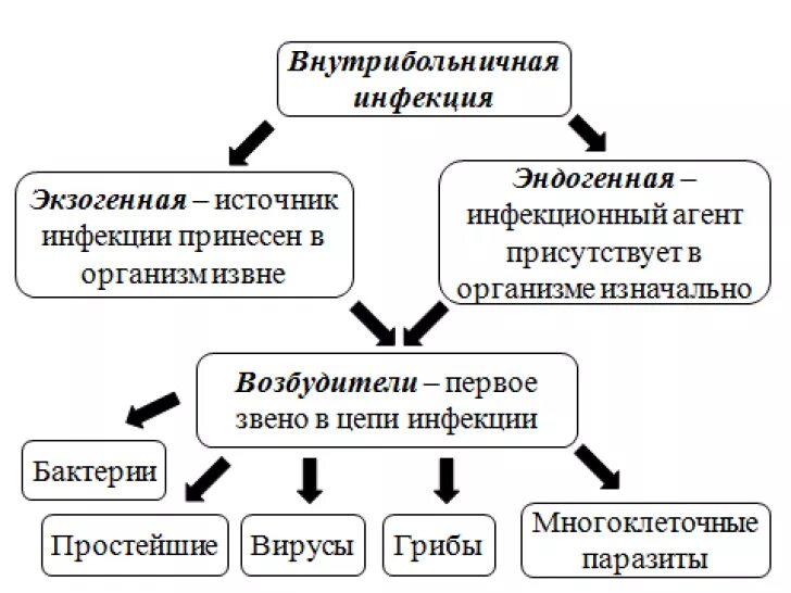 Структурно логическая схема внутрибольничная инфекция. Источники инфекции ВБИ схема. Пути передачи ВБИ схема. Структурно логическая схема группы риска ВБИ.