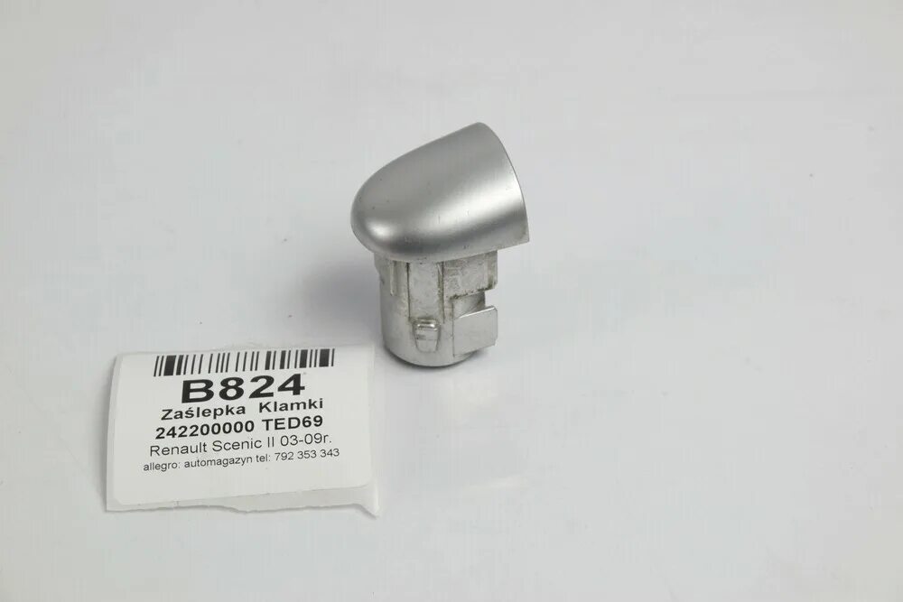 Заглушка на ручку двери рено меган 3. Заглушка двери рено меган 2. 8200028782 заглушка личинки. Заглушка ручки рено меган 2. Заглушка ручки двери меган 2.
