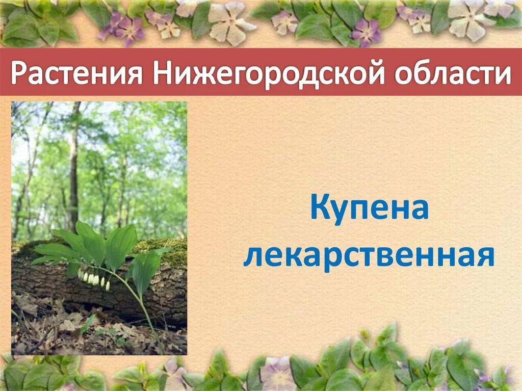 Травы нижегородской области. Растения Нижегородской области. Растения красной книги Нижегородской области. Красная книга Нижегородской области. Растительность Нижегородской области.