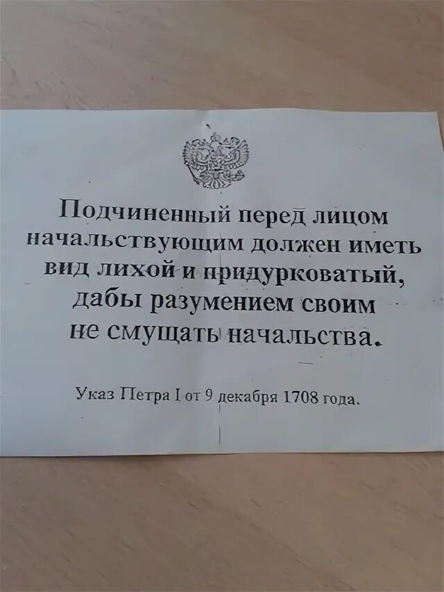Текст квартира краюшкиных отвечала