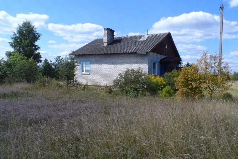 Деревня Гарусово Опочецкий район. Опочка. Опочецкий район. Псковская деревня Опочецкий район. Деревня высокое Опочецкий район.