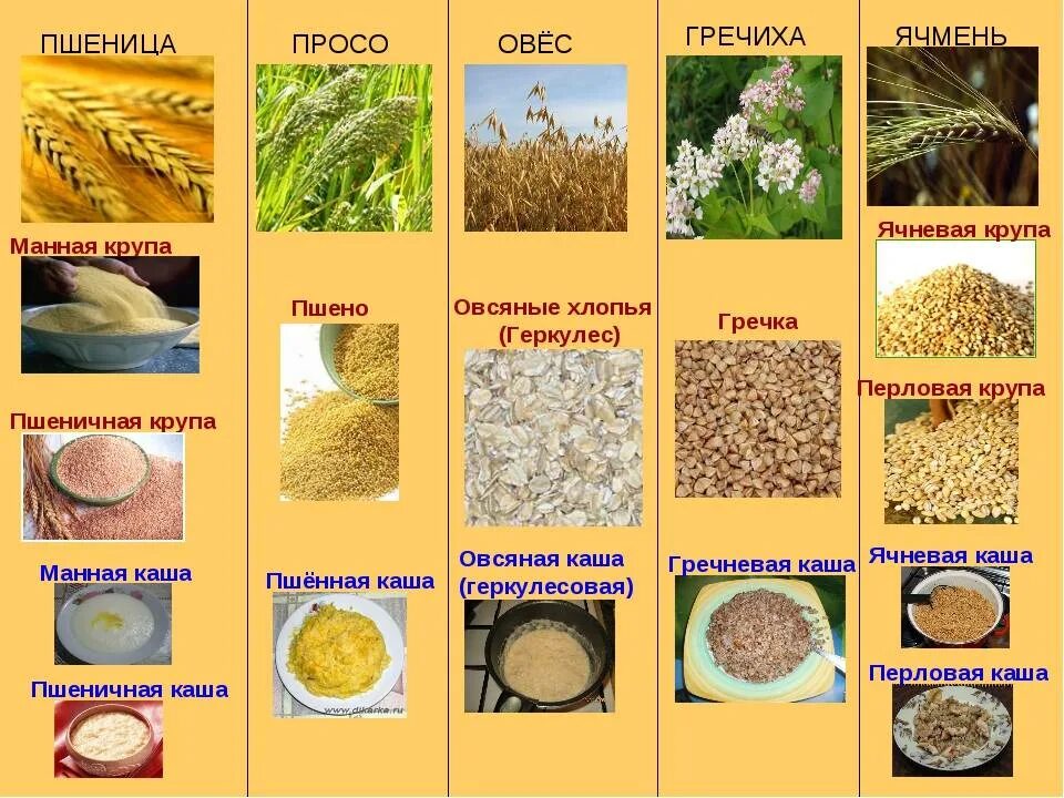 Пшено можно ли кормящим