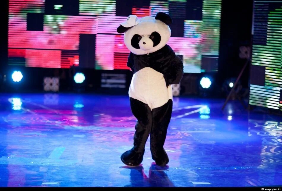 Танцующая панда видео. Танцующие панды. Панда танцует. Панда танцует Заозерном Курган. За сколько можно заказать танцующую панду.