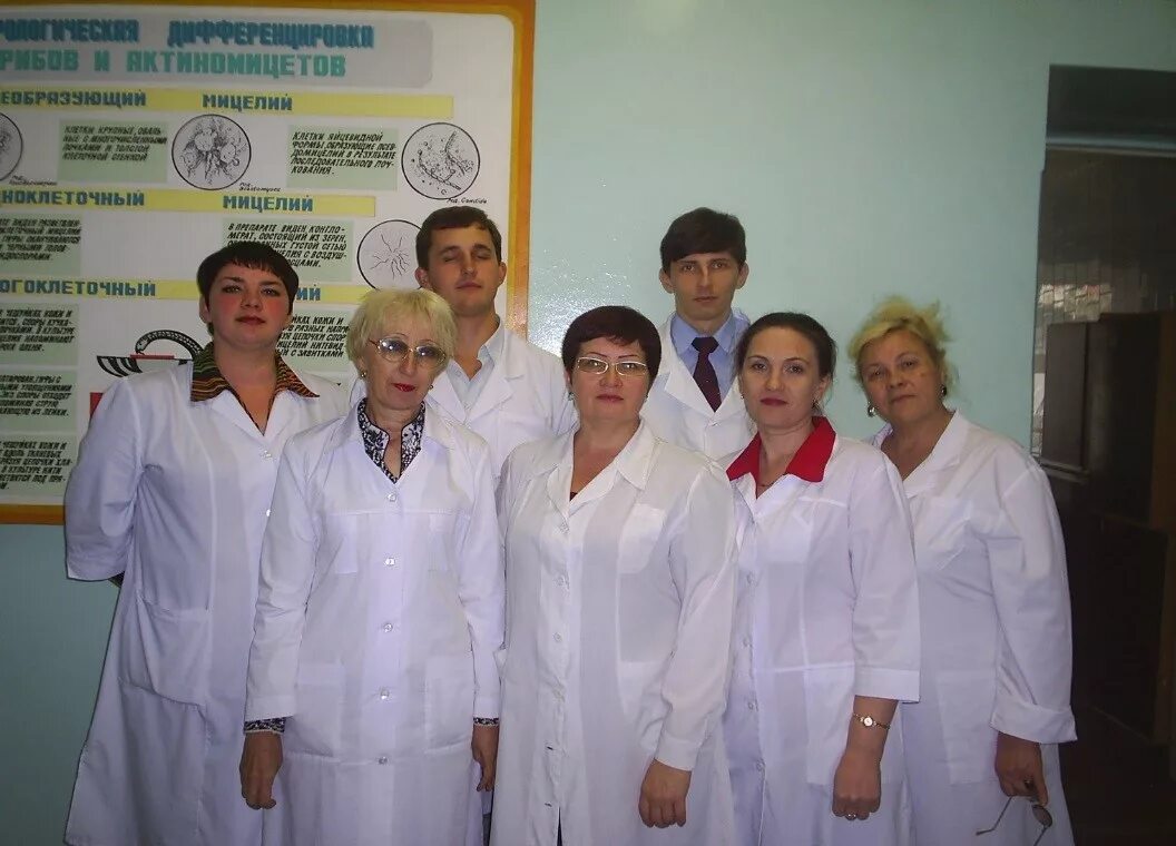 Гистология стгму. Гистология стгму