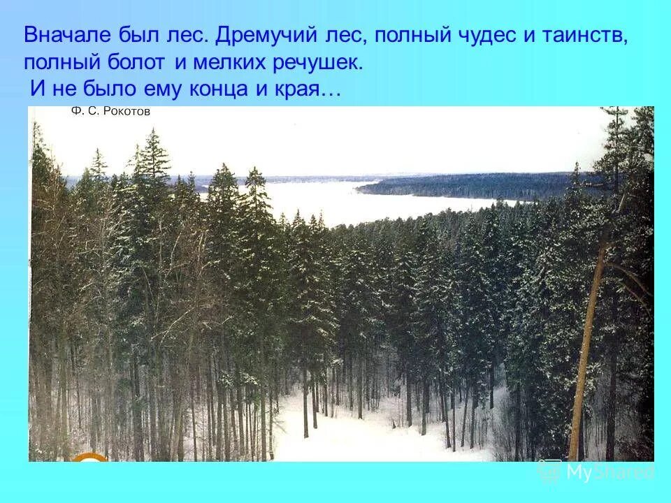 почему в сказках лес дремучий. здравствуй лес дремучий. дремучий лес сказка. стих здравствуй лес дремучий лес полный сказок. почему в сказках лес дремучий.