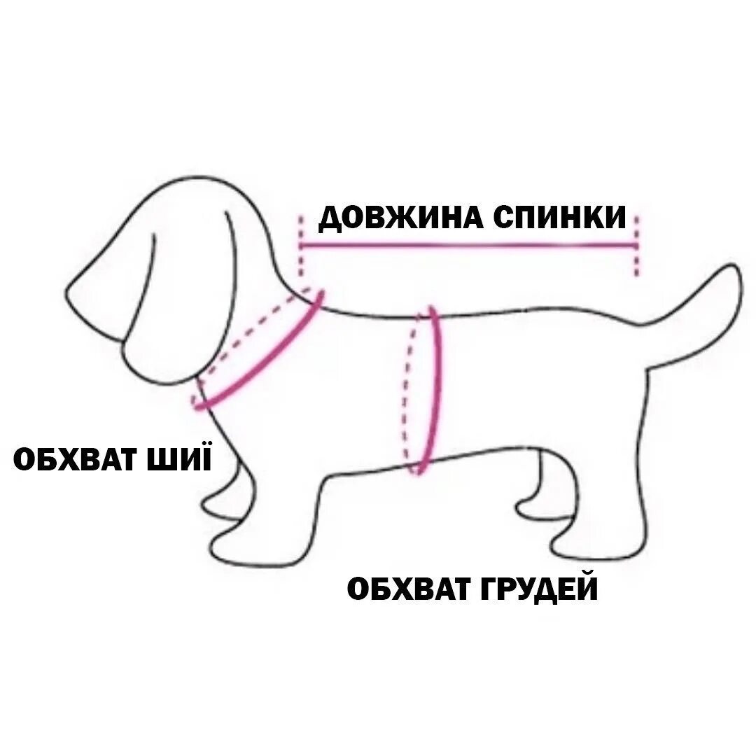 Как правильно подобрать собаку. Как измерить обхват груди у собаки. Схема собаки для снятия мерок. Как измерить параметры собаки для одежды. Как снять мерки с собаки.