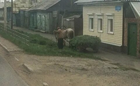 Сельский н е