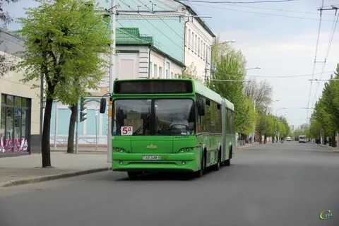 5 д автобус бобруйск