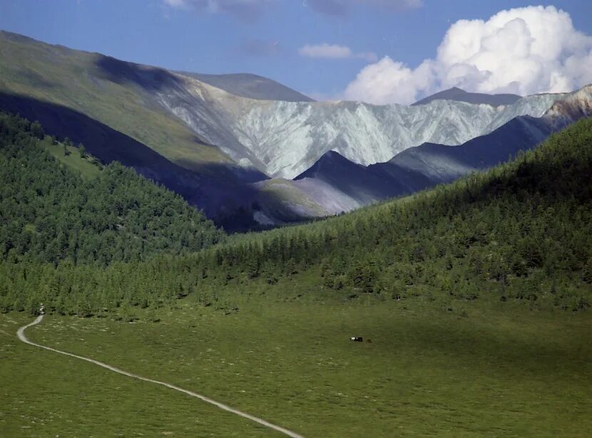 долина косциелиско. долина г р. долина реки чулышман горный алтай. челушманская долина алтай. долина г р.
