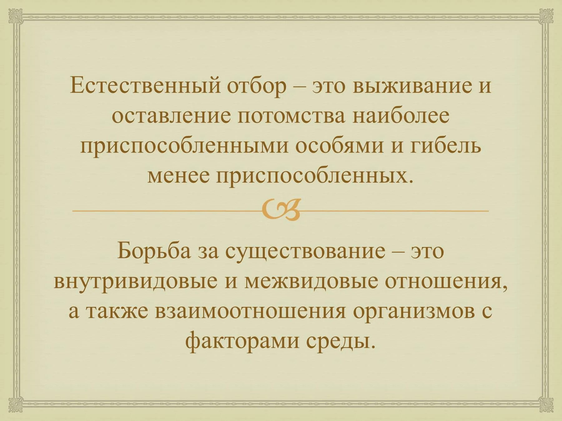 Естественный отбор. Естественный отбор презентация. Презентация на тему естественный отбор. Борьба за существование и естественный отбор.