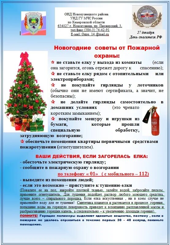 советы перед новым годом. советы на нг. как выбрать елку. новогодние прикольные афоризмы.