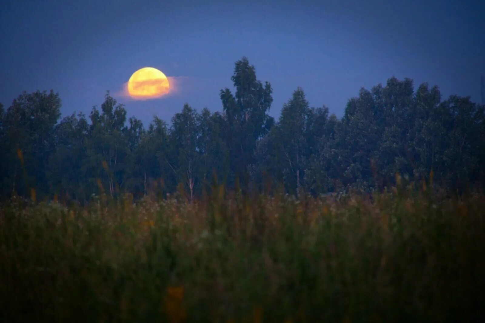 Ночное поле. Поле ночью. Летняя ночь. Луна вечером. Звук летней ночи