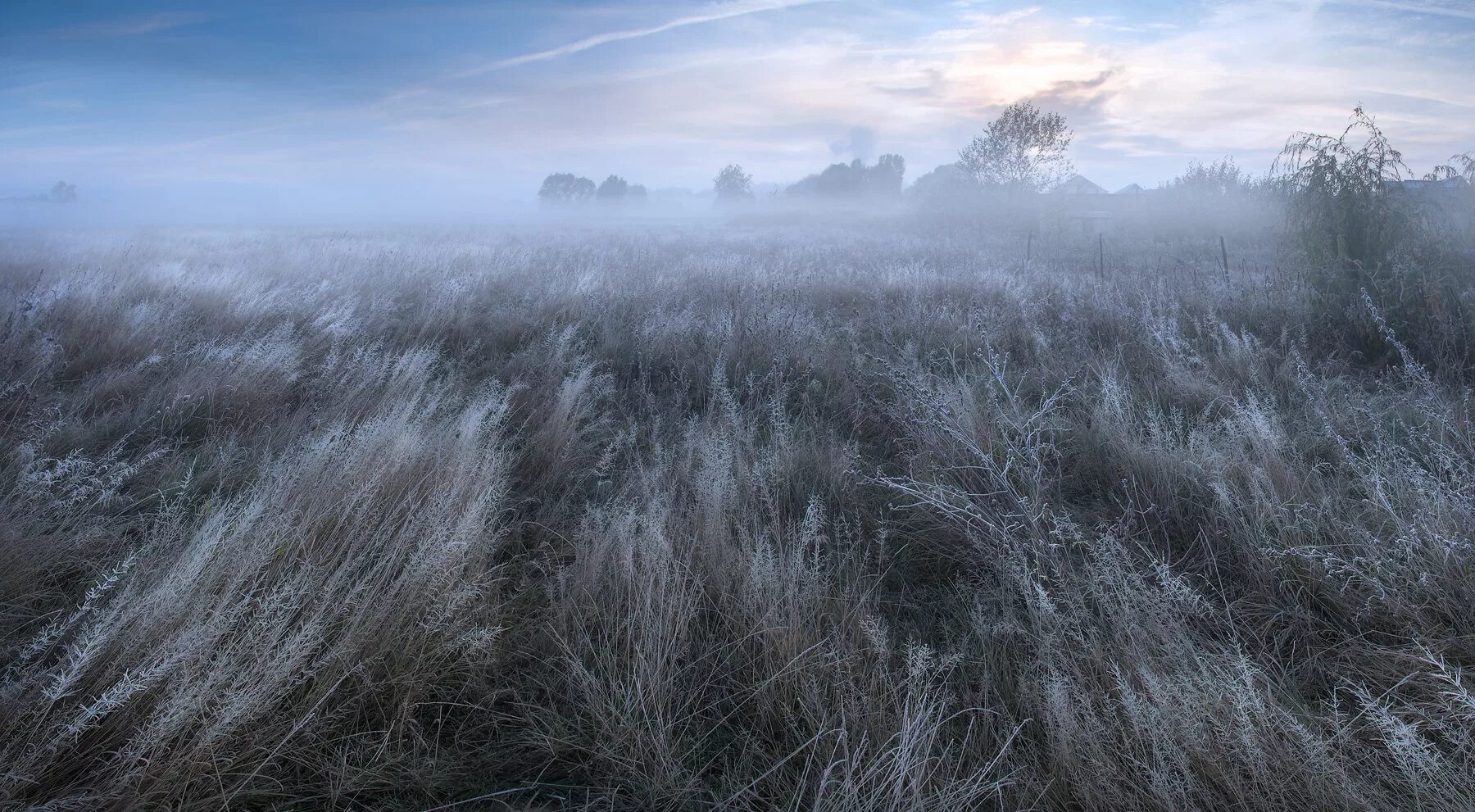 Земля позабытая. Степь Эстетика ковыль. Туман в степи. Серое поле. Поле в тумане.