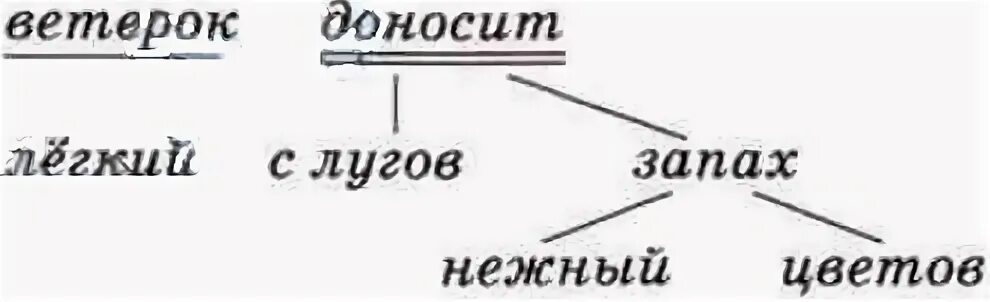 Нежный разбор. Лёгкий ветерок доносит с лугов запах нежных цветов. Синтаксический разбор предложения. Синтаксический разбор аромат.