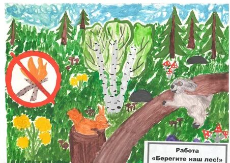 Охрана природы леса