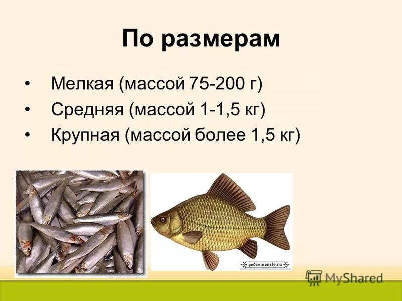 девушки с одинаковым весом. взвешивание ребенка. трансформация женского тела. новорожденные в месяц. весы для детей.