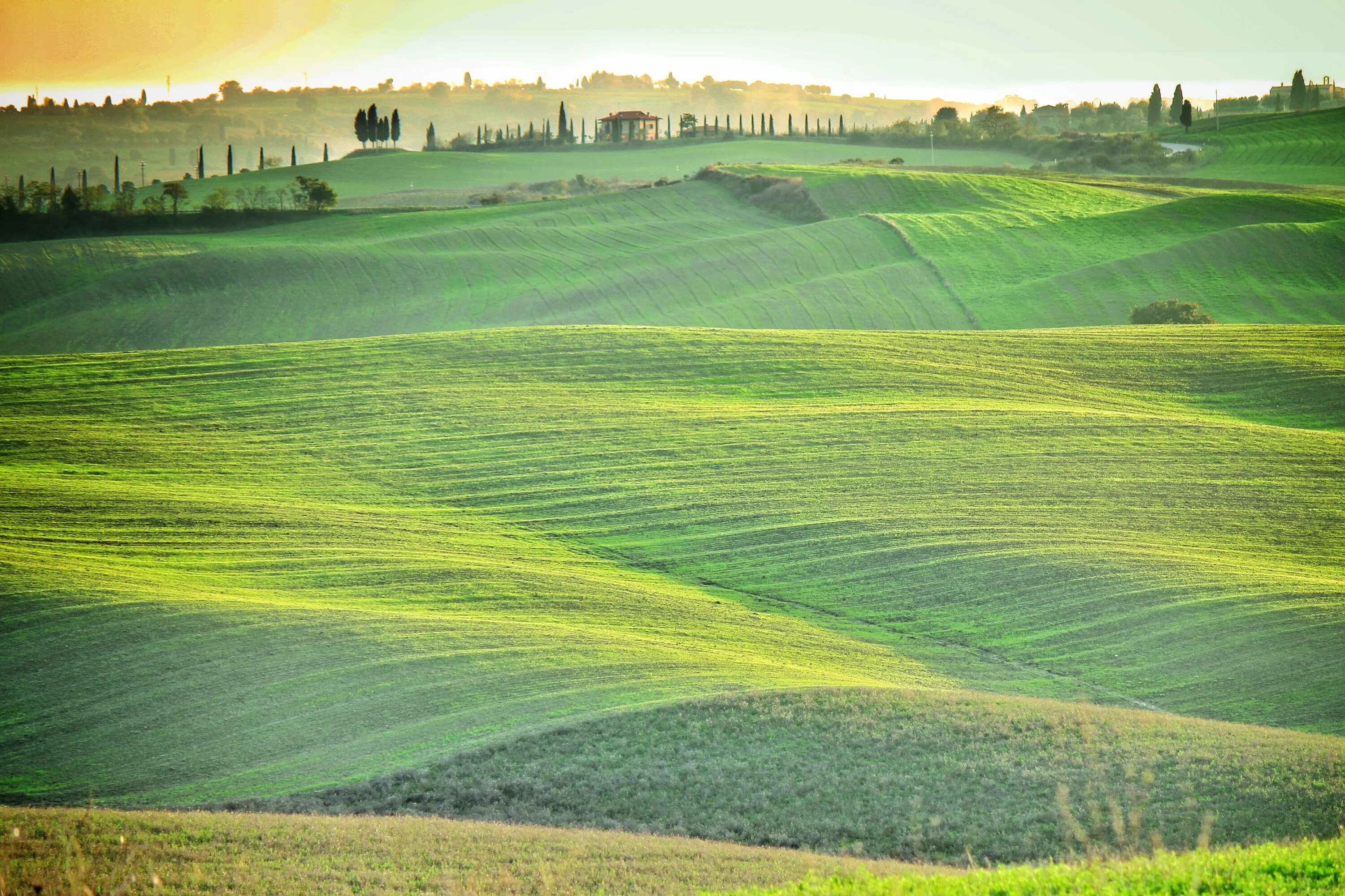 Where field field