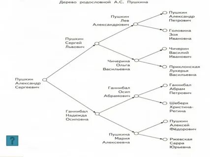 Дерево информации