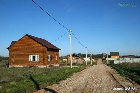 Жучки хотьково