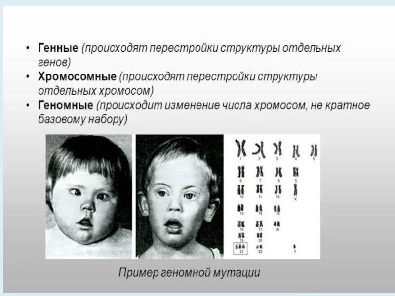 Геномные мутации возникают в результате изменения. Хромосомные генные и геномные заболевания таблица. наследственные болезни генные хромосомные геномные примеры. наследование хромосомных мутаций. болезни вызванные изменением структуры хромосом.