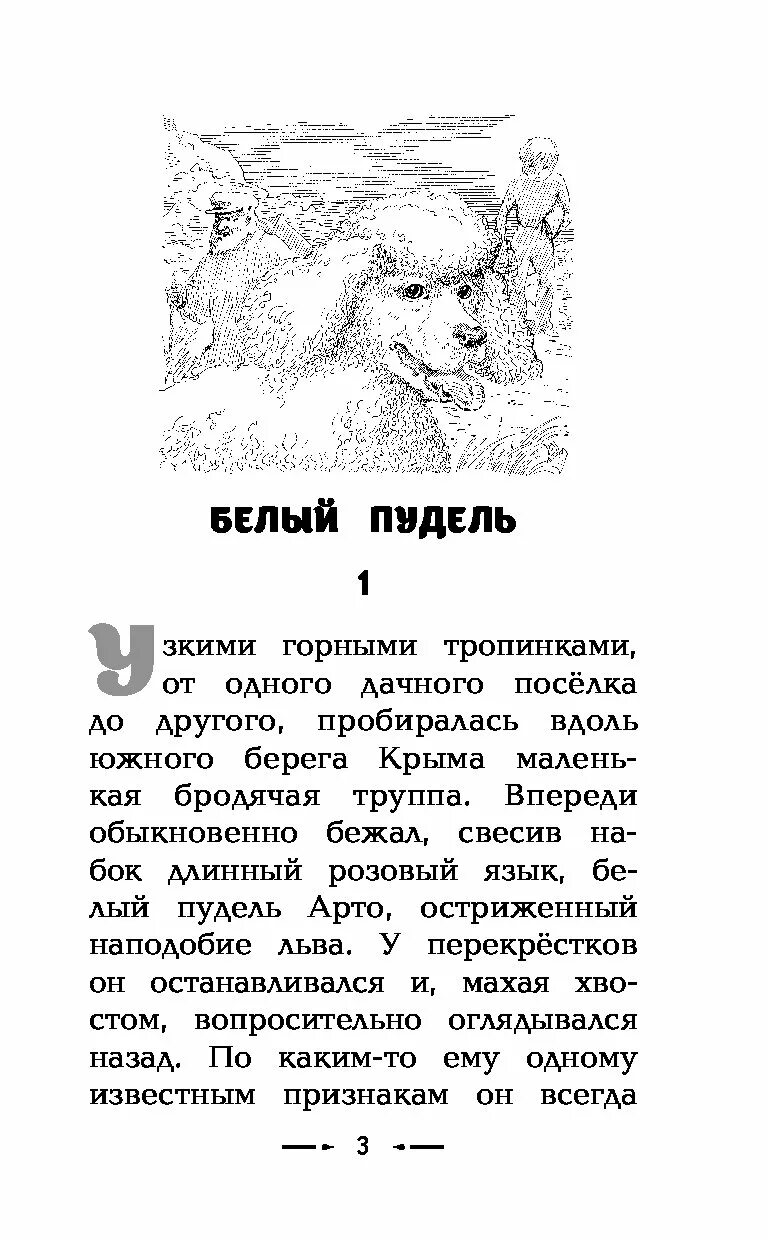 Читать рассказ пудель. А. И. Куприн «белый пудель» hfccrfp. Рассказ Куприна белый пудель. Рассказы Куприна о животных белый пудель. Текст белый пудель Куприн Куприн.