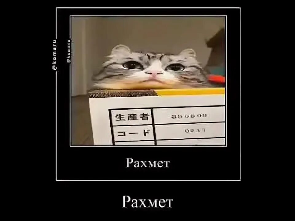 Обнял поднял рахмет. Обнял поднял от души братка рахмет. Спасибо брат обнял поднял. Обнял поднял покружил поставил на место прикол. Обнял поднял от души братка рахмет.