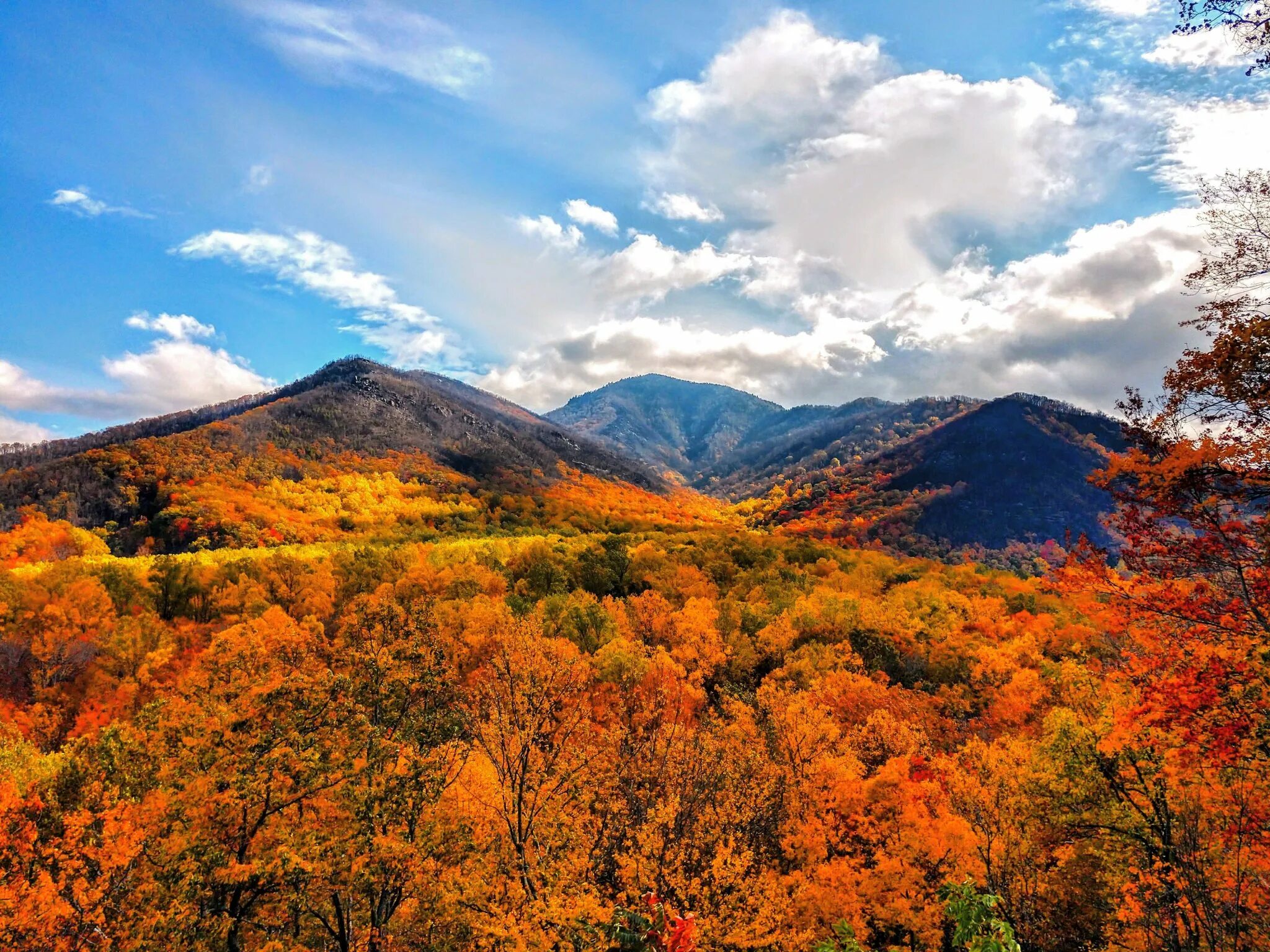 Смоки маунтинс сша. Северная каролина аппалачи. Дымчатые горы сша. Горы смоки маунтинс. Горы смоки маунтинс.