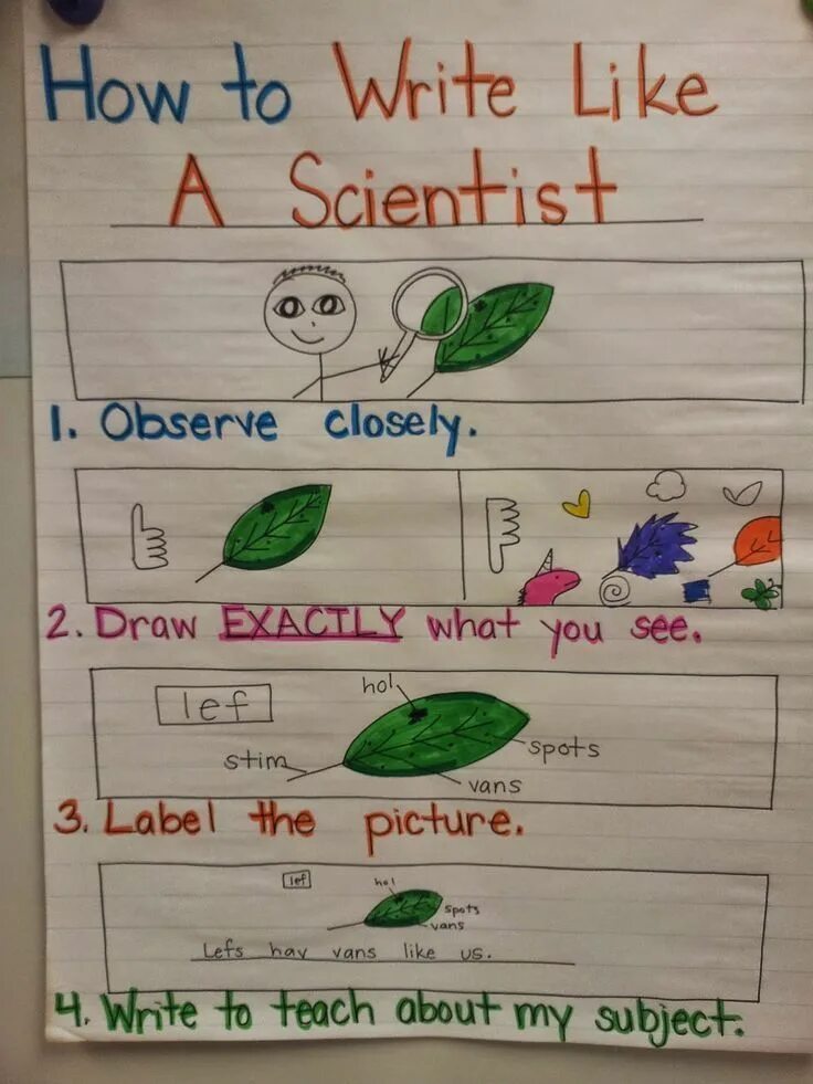 Write like. Draw and write. draw and write перевод. draw and write любимая одежда. draw and write examples of what you know перевести на русский.