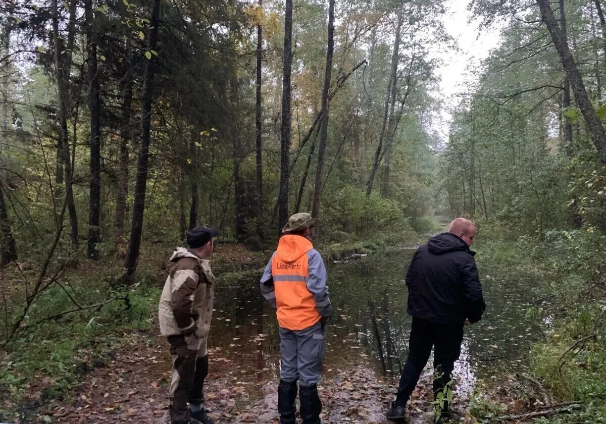 Заблудился в лесу мчс. Потерялись в лесу новости. Спасатели в лесу. Потерялись в лесу новости. Человек заблудился в лесу.