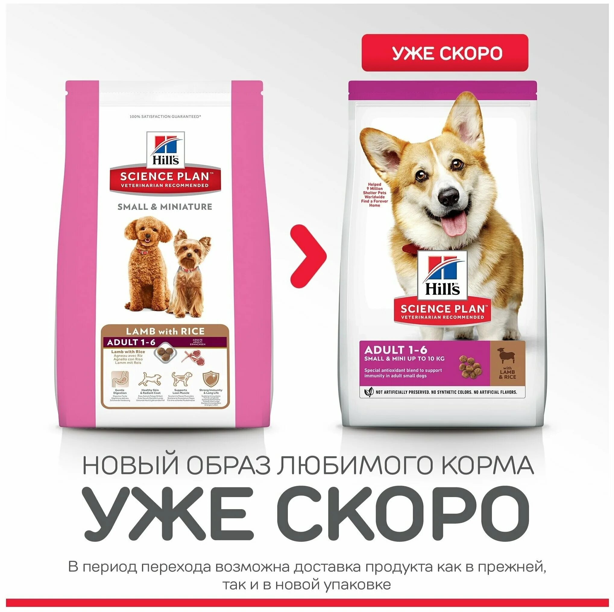 хиллс для собак мелких пород с ягненком. корм хиллс для собак с ягненком и рисом 12 кг. хиллс ягненок с рисом для собак средних пород 18 кг. хиллс для собак миниатюр ягненок рис 1,5кг. сухой корм хиллс для собак мелких пород с ягненком.