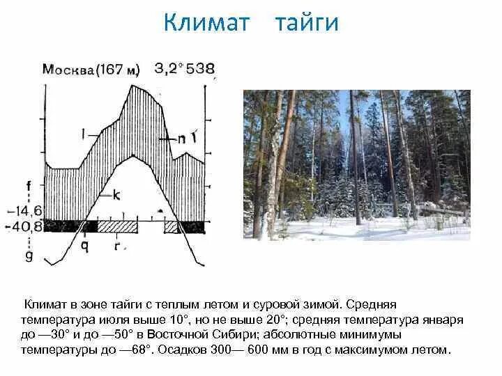 Кол во осадков в тайге. Тайга климат температура осадки. Тайга климат температура зимой и летом. Климат тайги зимой и летом. Зона тайги климат летом и зимой.