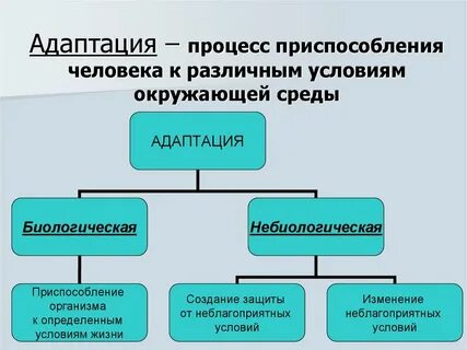 Приспособление к среде жизни человека