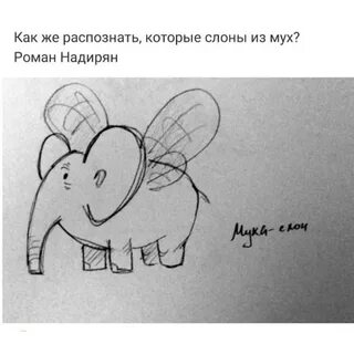 Фразеологизмы слон