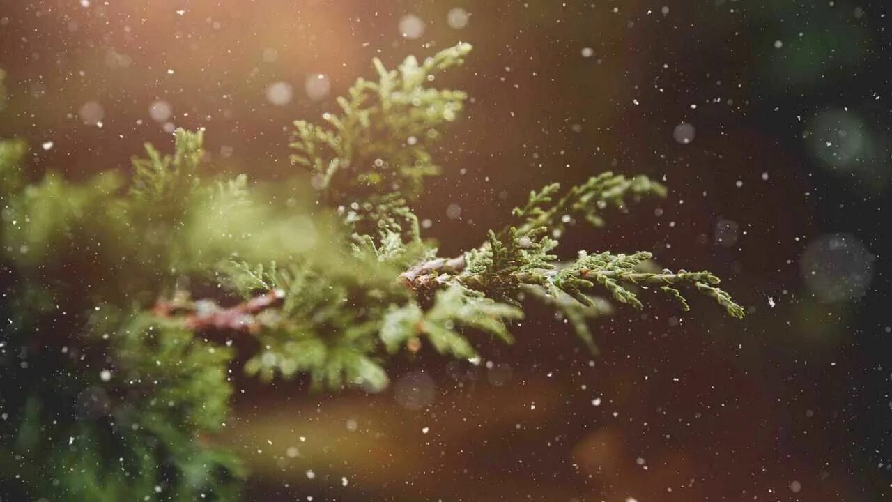 New macro