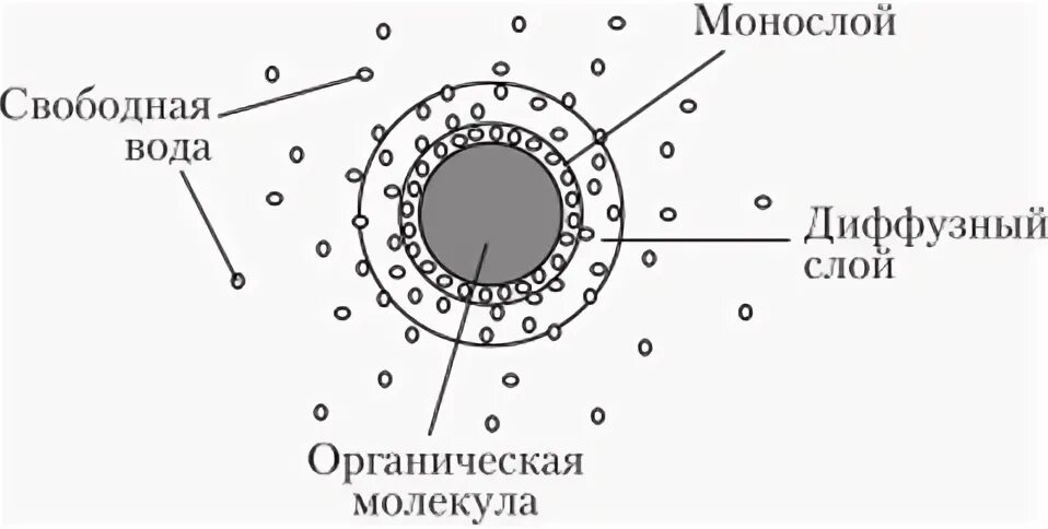 Диффузный слой. Диффузный слой