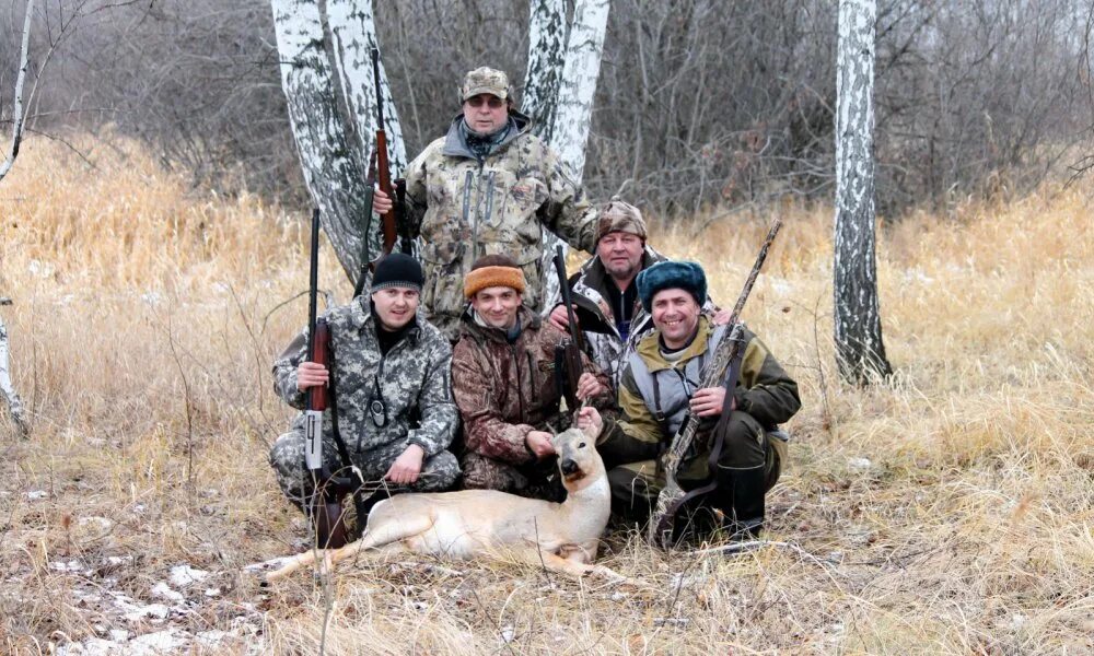 охота на кабана симское охотхозяйство владимирской области. охотничье хозяйство заимка орловская область. территория охота. уломское охотхозяйство центральная база. охота в краснодарском крае.