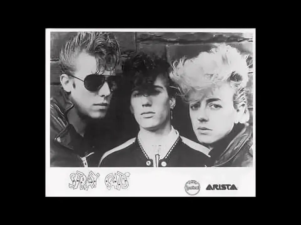 Stray cats ubangi stomp. Stray Cats 1981. Stray Cats фото. Обои Stray Cat. Stray Cat k-Pop.