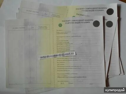 Записывают в книгу формы ву 15