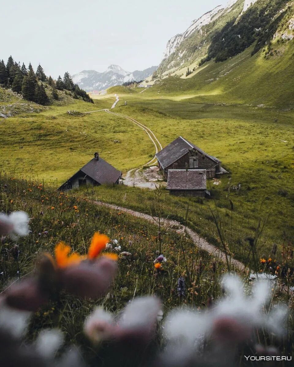 Домики вдали. Горная Хижина в Альпах. Бриенц Швейцария. Домик вдали от цивилизации. Хижина в горах Швейцарии.