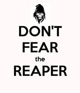 Don t fear